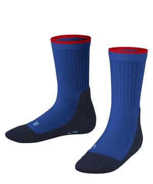 Kids' Falke Active Everyday Socks Socks Blue | GLNYPQ860