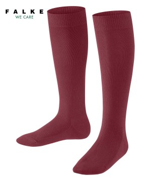 Kids' Falke Family Knee-high Socks Socks Red | SFLUJI196