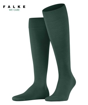 Men Falke ClimaWool Knee-high Socks Socks Green | EAUGBX694