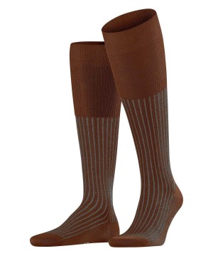 Men Falke Oxford Stripe Knee-high Socks Socks Brown | JVODCI963