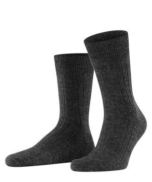 Men Falke Teppich im Schuh Socks Socks Grey | BTZJIW790