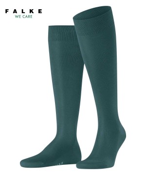 Men Falke Tiago Knee-high Socks Socks Green | SVUBQR091