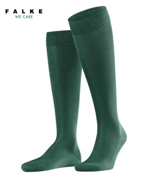 Men Falke Tiago Knee-high Socks Socks Green | XGJHFM037