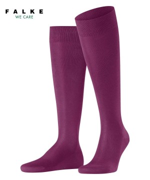 Men Falke Tiago Knee-high Socks Socks Purple | ABKSLZ495