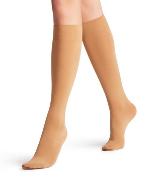 Women Falke Seidenglatt 40 DEN Knee-high Socks Socks Beige | QWRMNO316