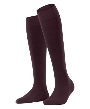 Women Falke Softmerino Knee-high Socks Socks Red | EQFUVG685