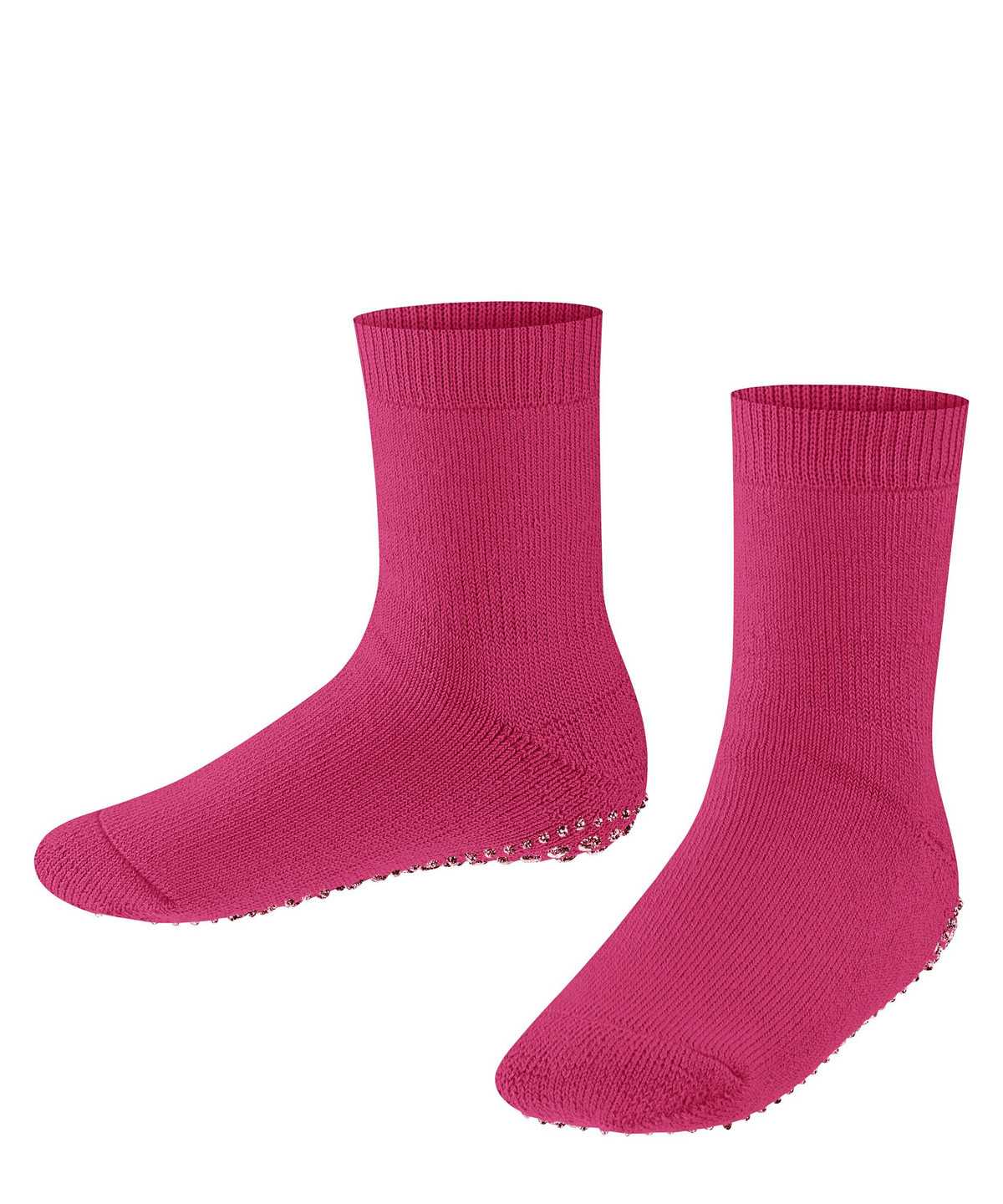 Kids\' Falke Catspads House socks Socks Purple | JZFUCY962