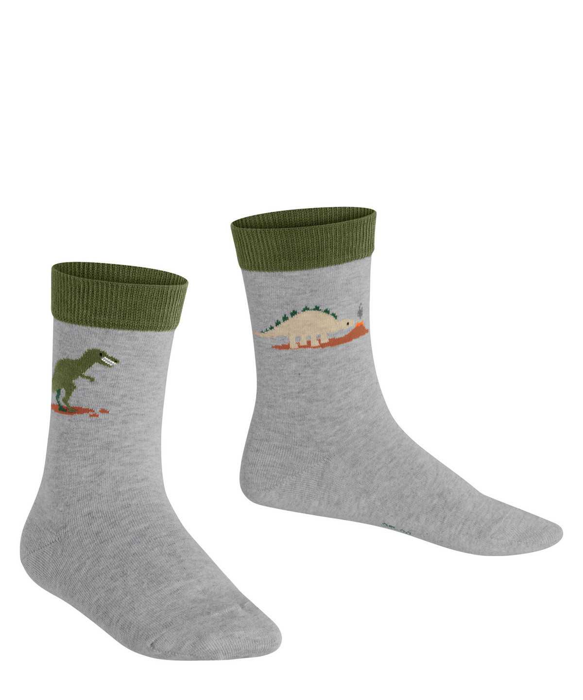 Kids' Falke Dinosaurs Socks Socks Grey | WNURMT694