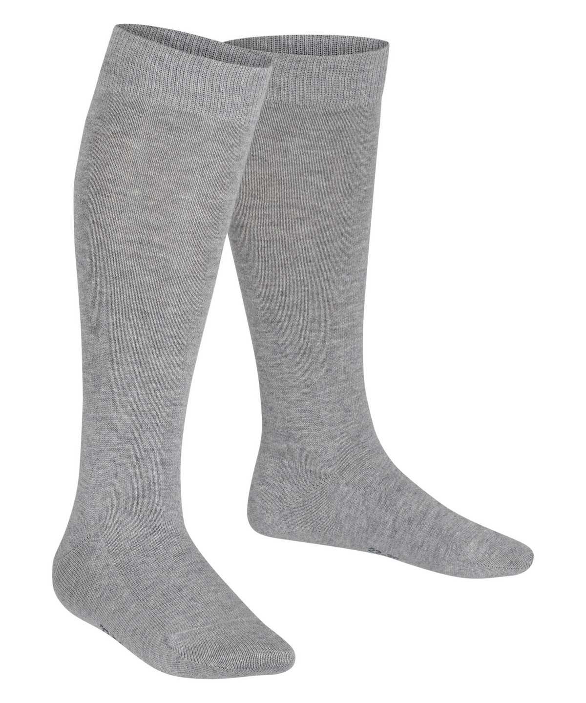 Kids' Falke Family Knee-high Socks Socks Grey | TRQNUD648