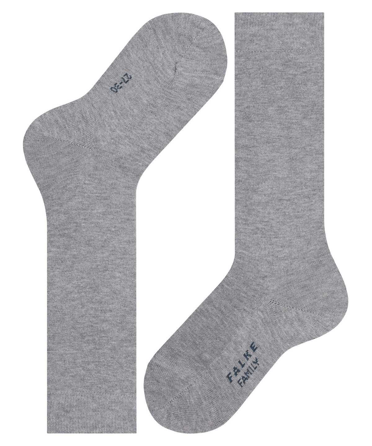 Kids' Falke Family Knee-high Socks Socks Grey | TRQNUD648