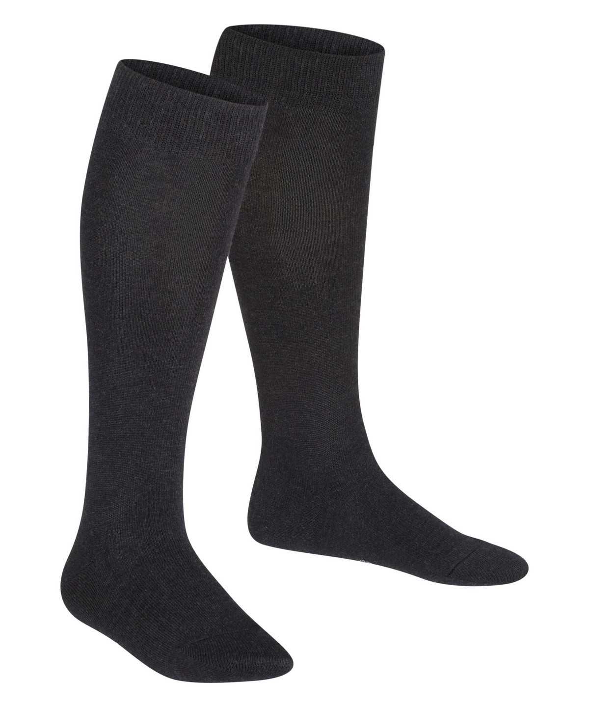 Kids' Falke Family Knee-high Socks Socks Grey | QZATFH904