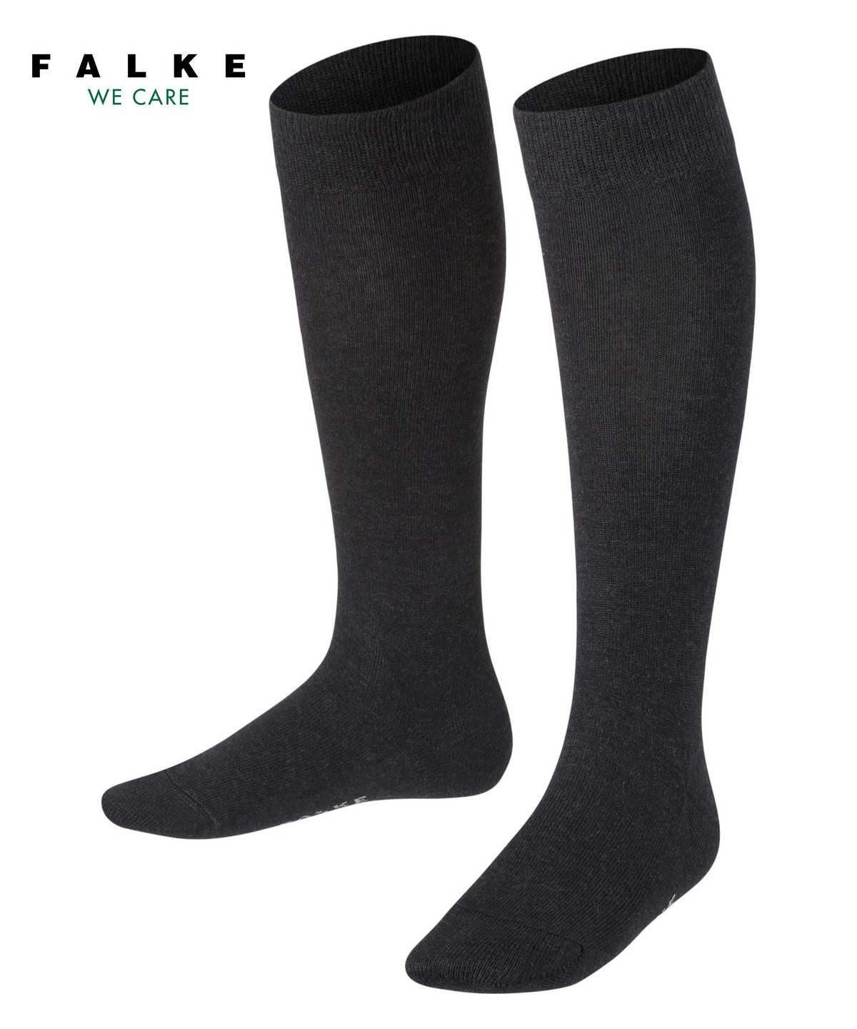 Kids\' Falke Family Knee-high Socks Socks Grey | QZATFH904