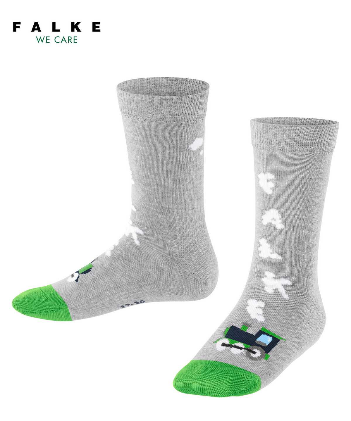 Kids\' Falke Happy Locomotive Socks Socks Grey | WKPDXH613