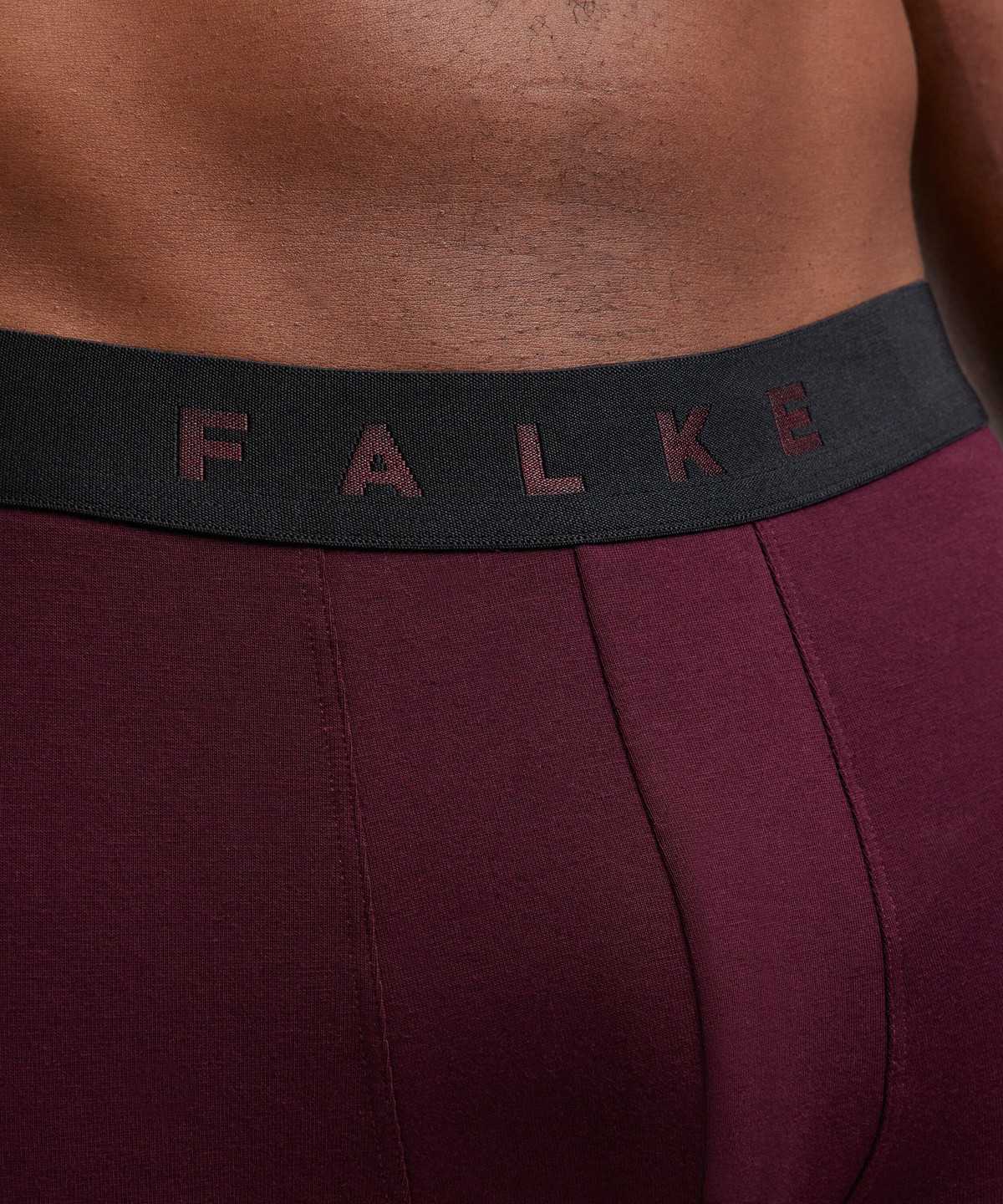 Men Falke 2-Pack Boxer Daily Comfort Boxer & Slips Multicolored | OUPEYM869