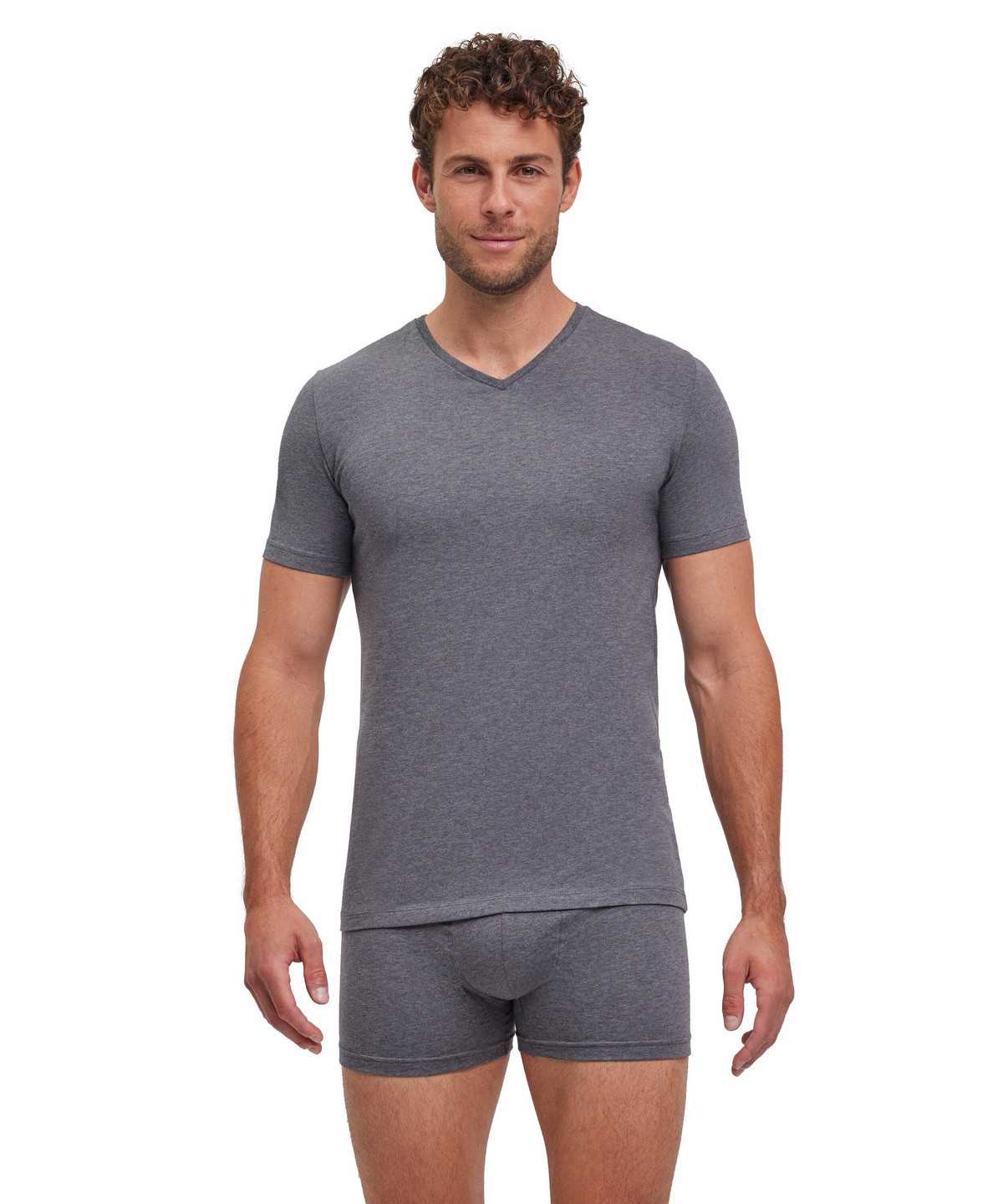 Men Falke 2-Pack T-Shirt V-neck Daily Comfort Short Sleeve Shirts Grey | IOKMZT970