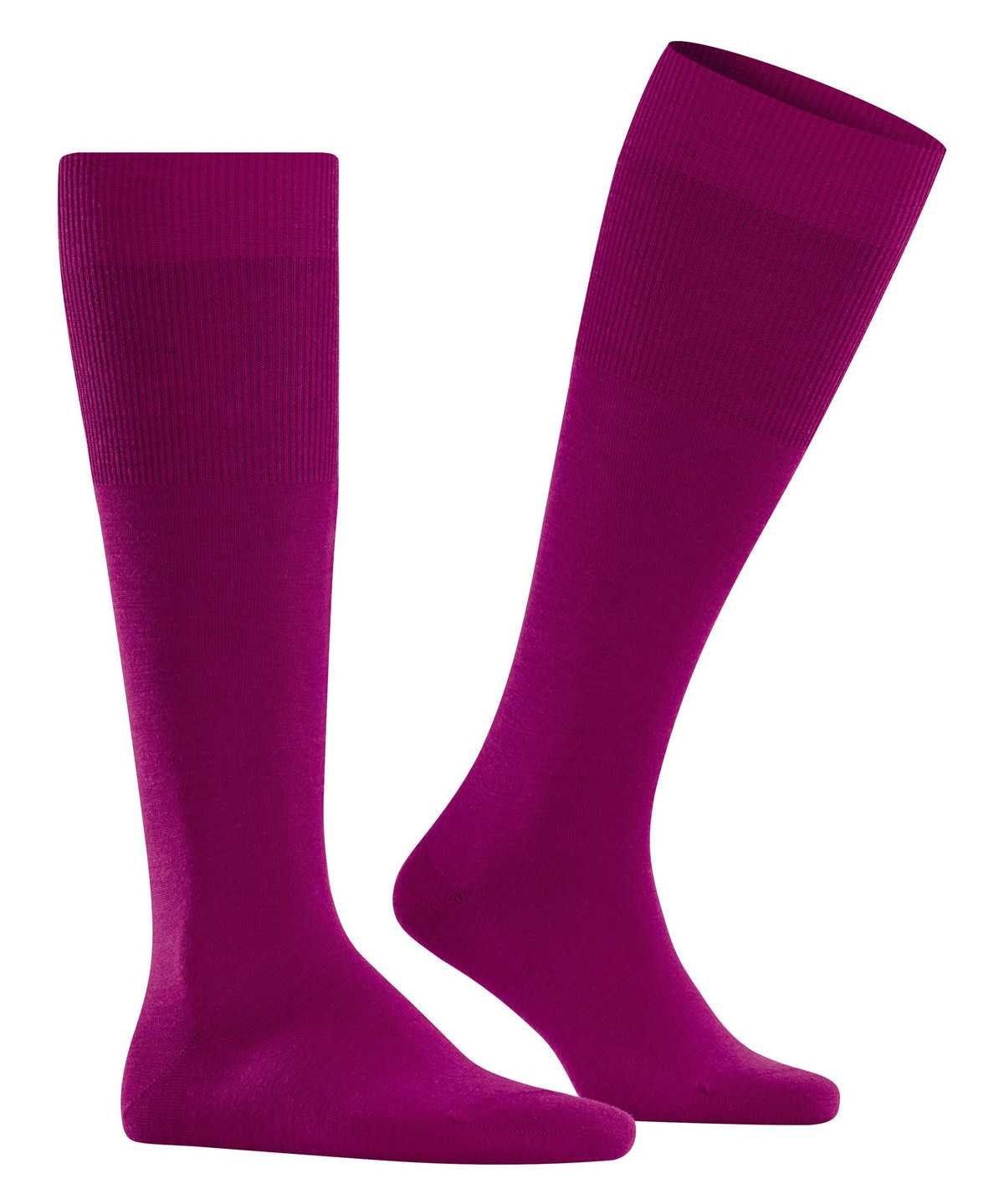 Men Falke Airport Knee-high Socks Socks Pink | AQFHGS541