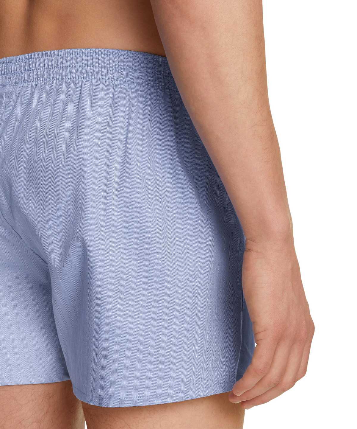 Men Falke Boxer Boxer & Slips Blue | EPRDUQ097