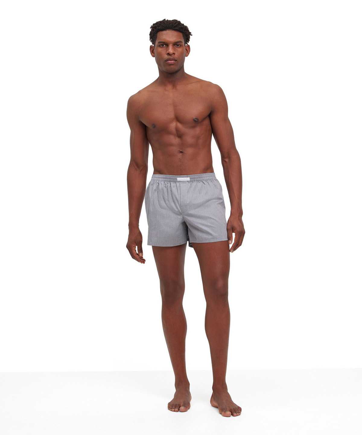 Men Falke Boxer Boxer & Slips Grey | EUHNLK672