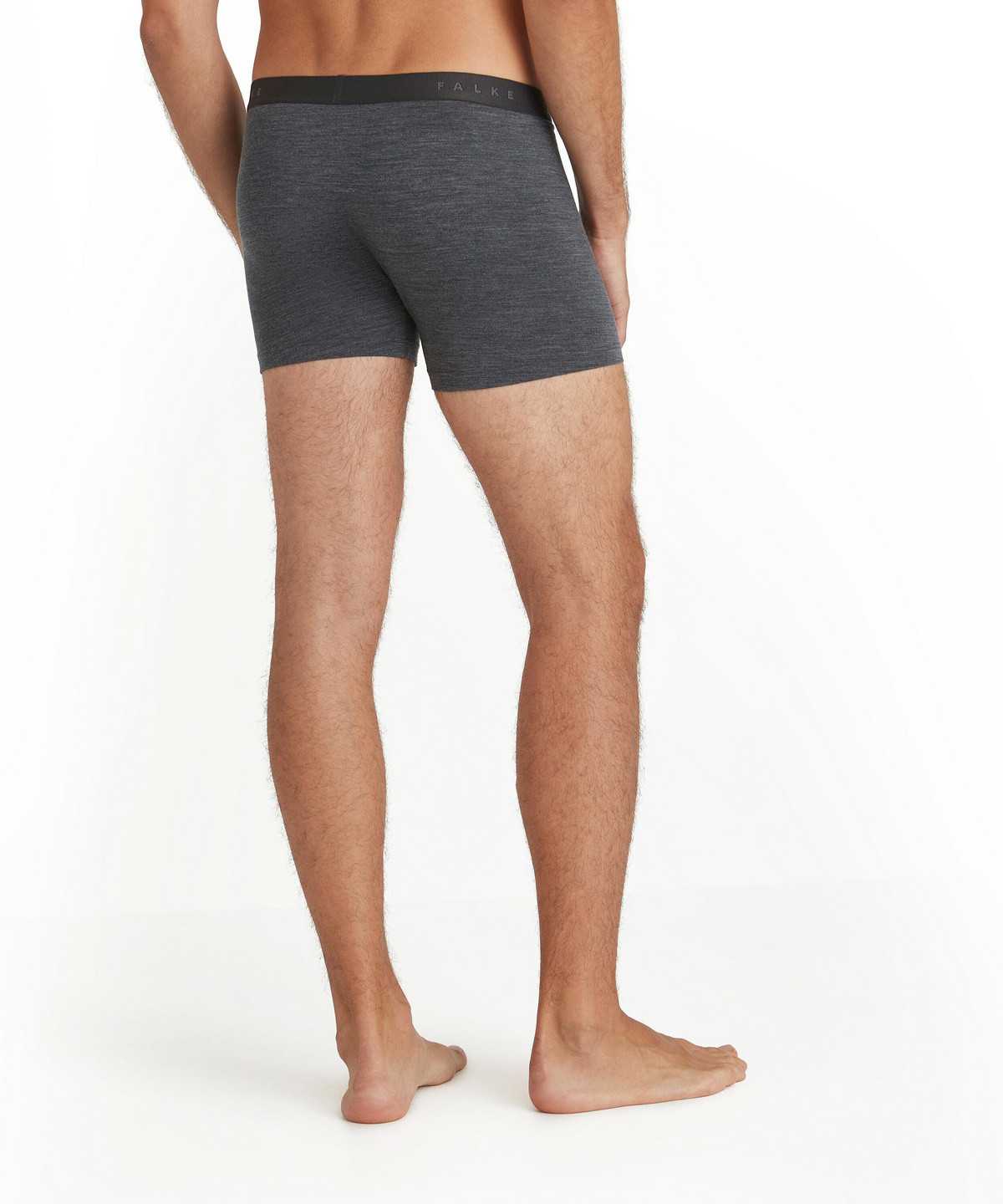 Men Falke Boxer Daily ClimaWool Boxer & Slips Grey | WSUVKT739