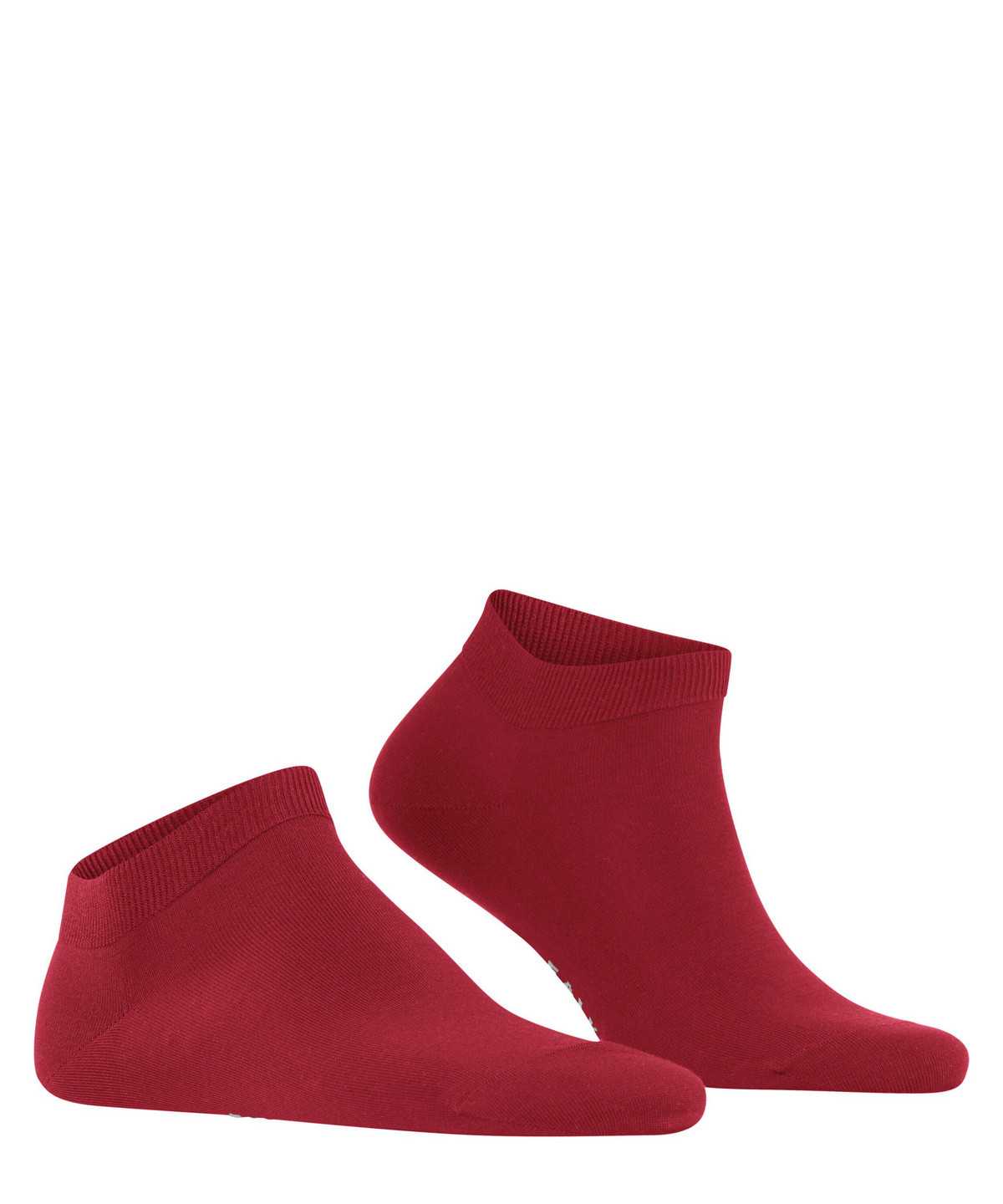 Men Falke ClimaWool Sneaker socks Socks Red | YDETXO025