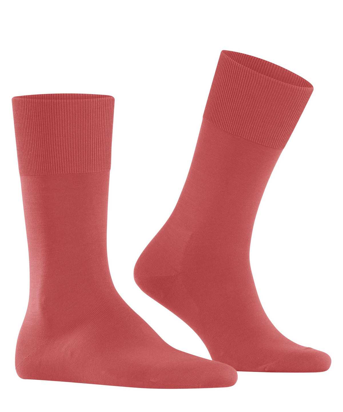 Men Falke ClimaWool Socks Socks Red | FWPOUS275