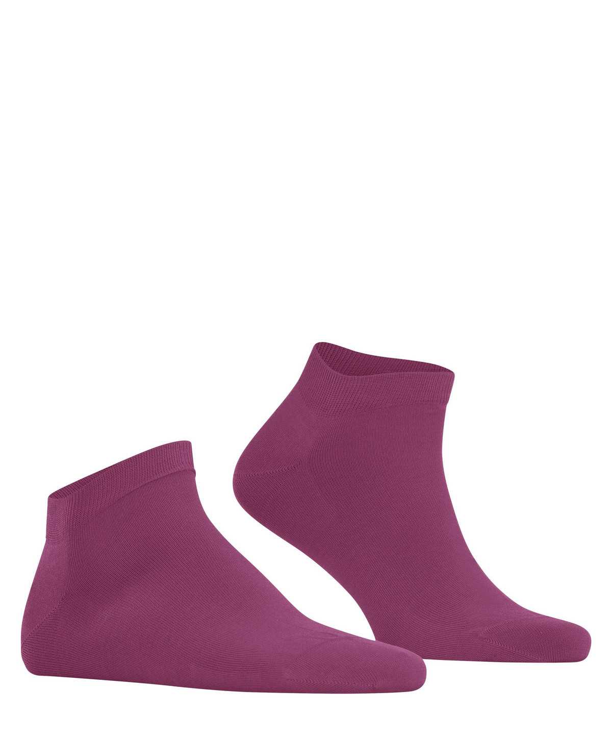 Men Falke Cool 24/7 Sneaker socks Socks Purple | UCXENM328