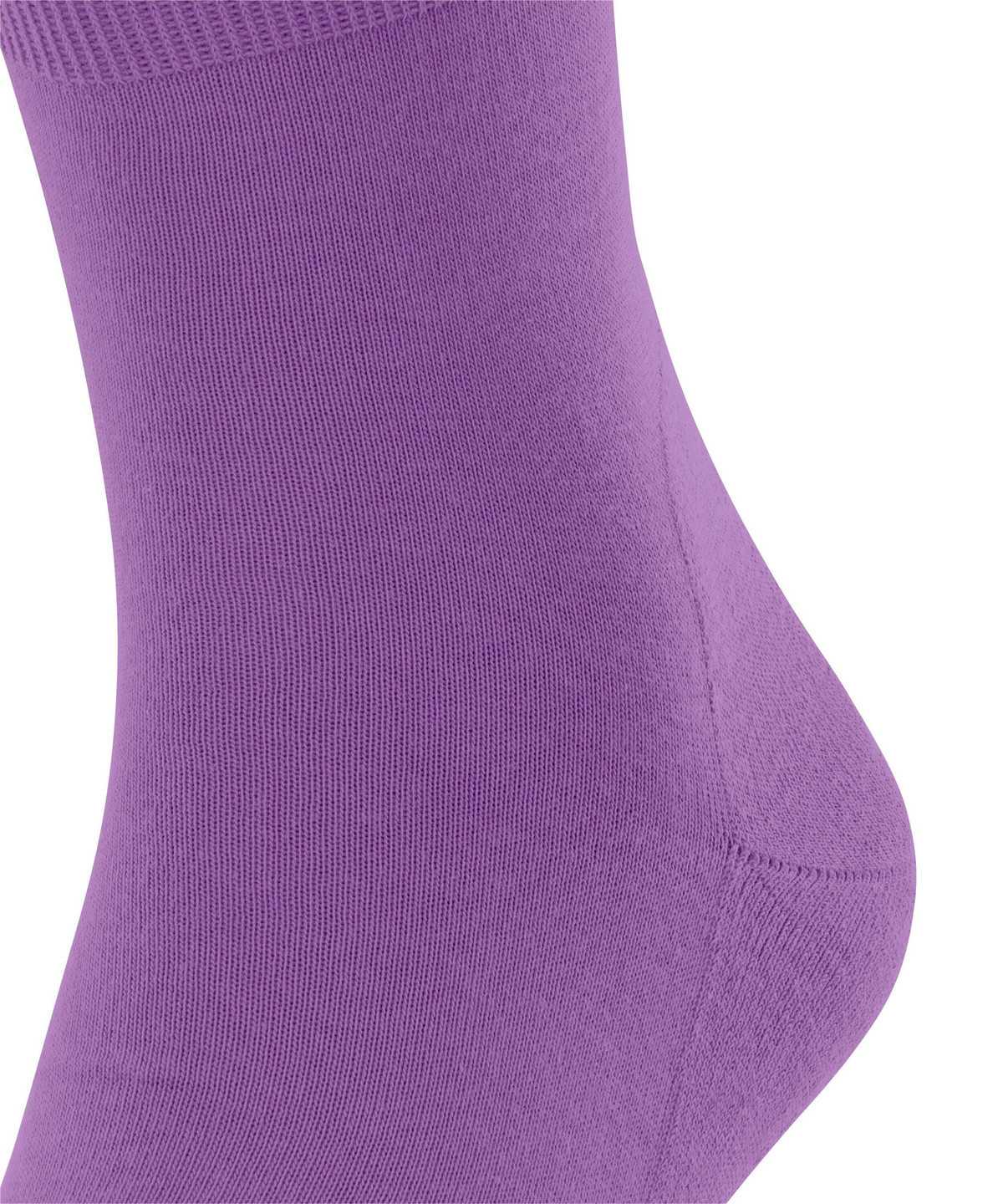 Men Falke Run Socks Socks Purple | MRLVCG096