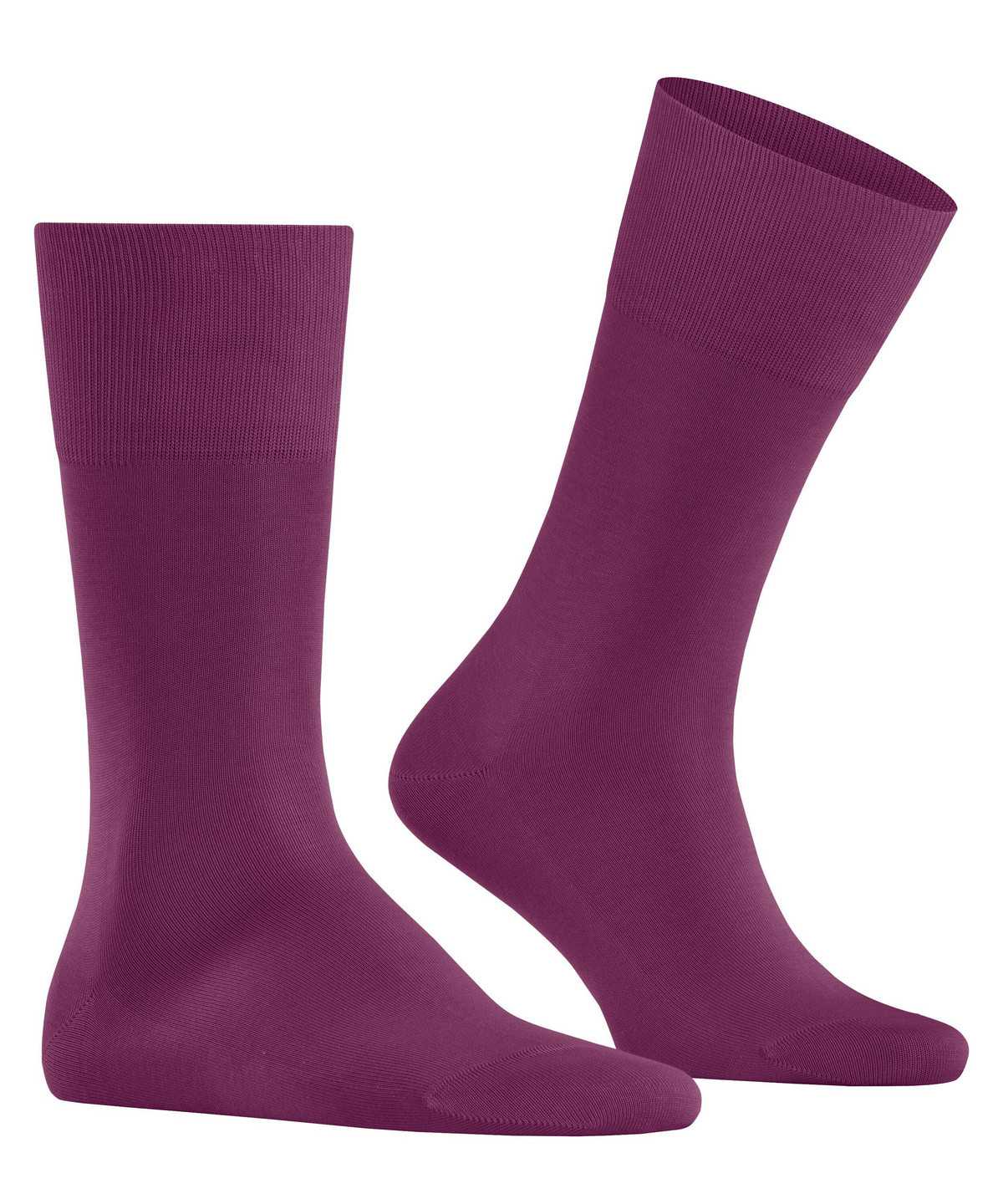 Men Falke Tiago Socks Socks Purple | ZKFUQX041