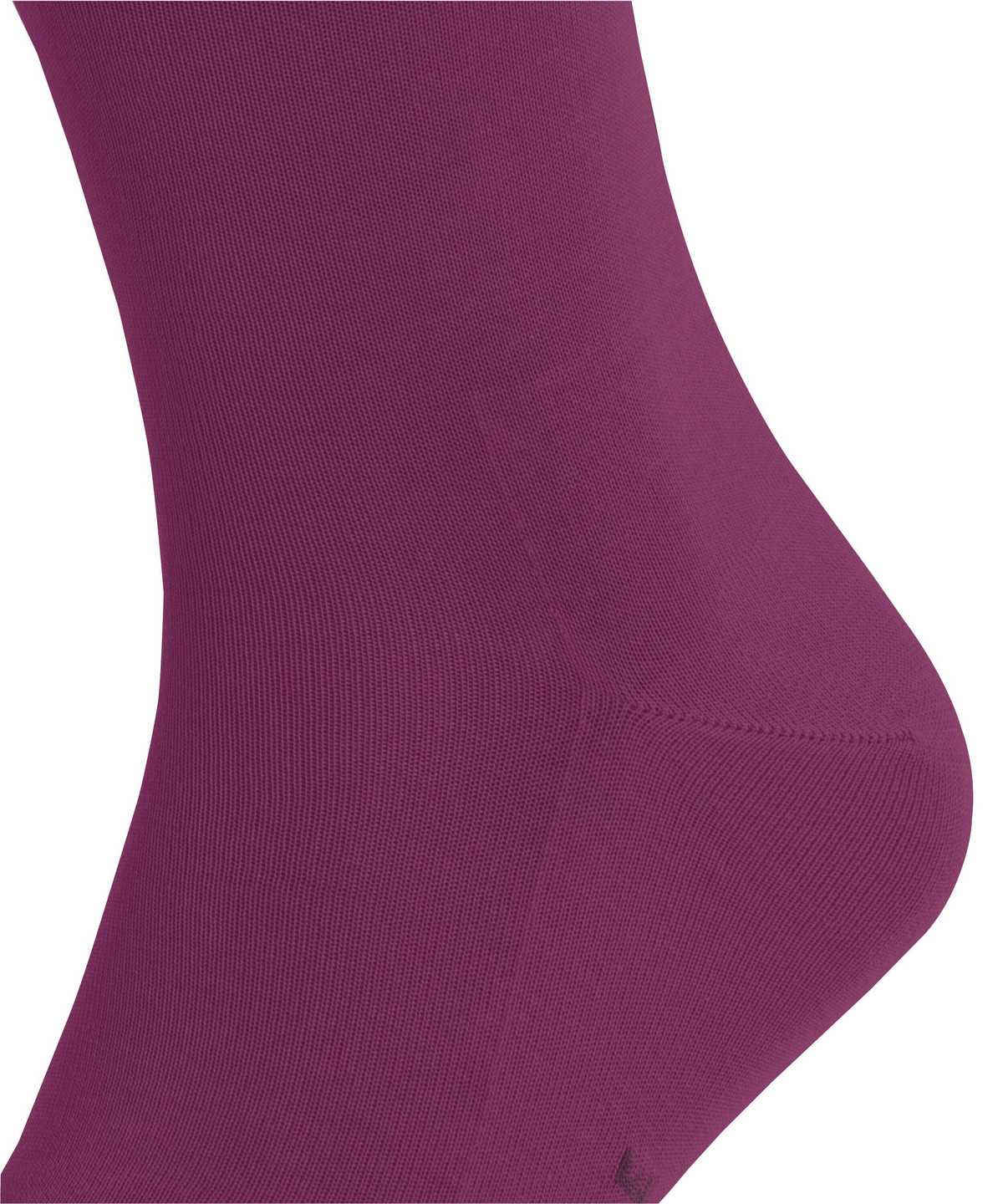 Men Falke Tiago Socks Socks Purple | ZKFUQX041