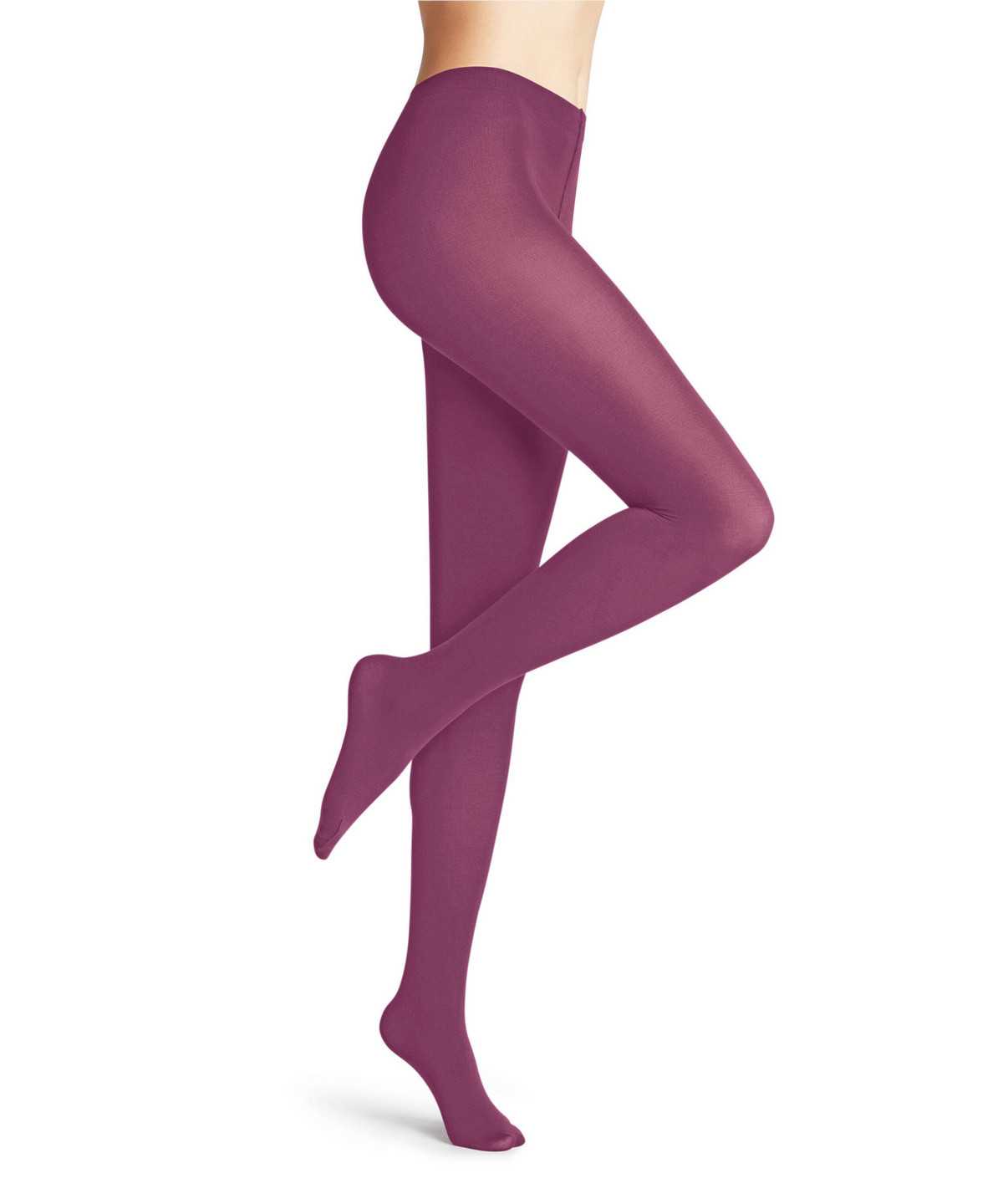 Women Falke Cotton Touch Tights Tights Purple | LIYNBK478