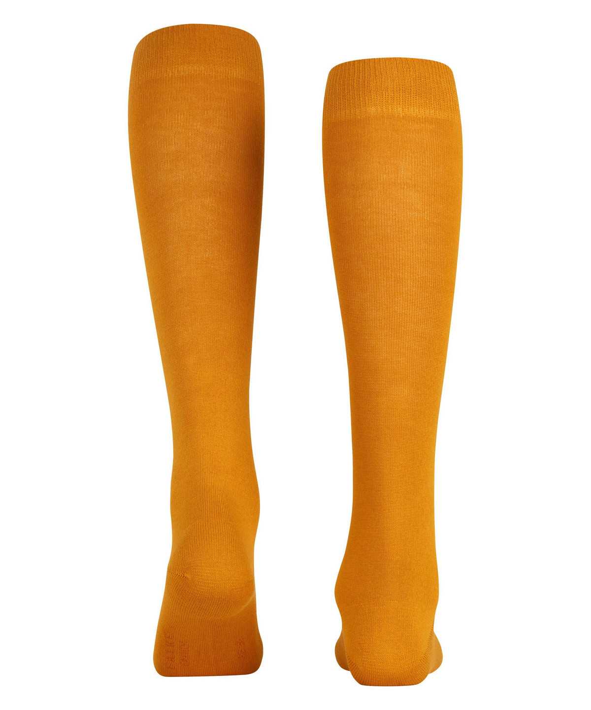 Women Falke Family Knee-high Socks Socks Yellow | IEONSC189