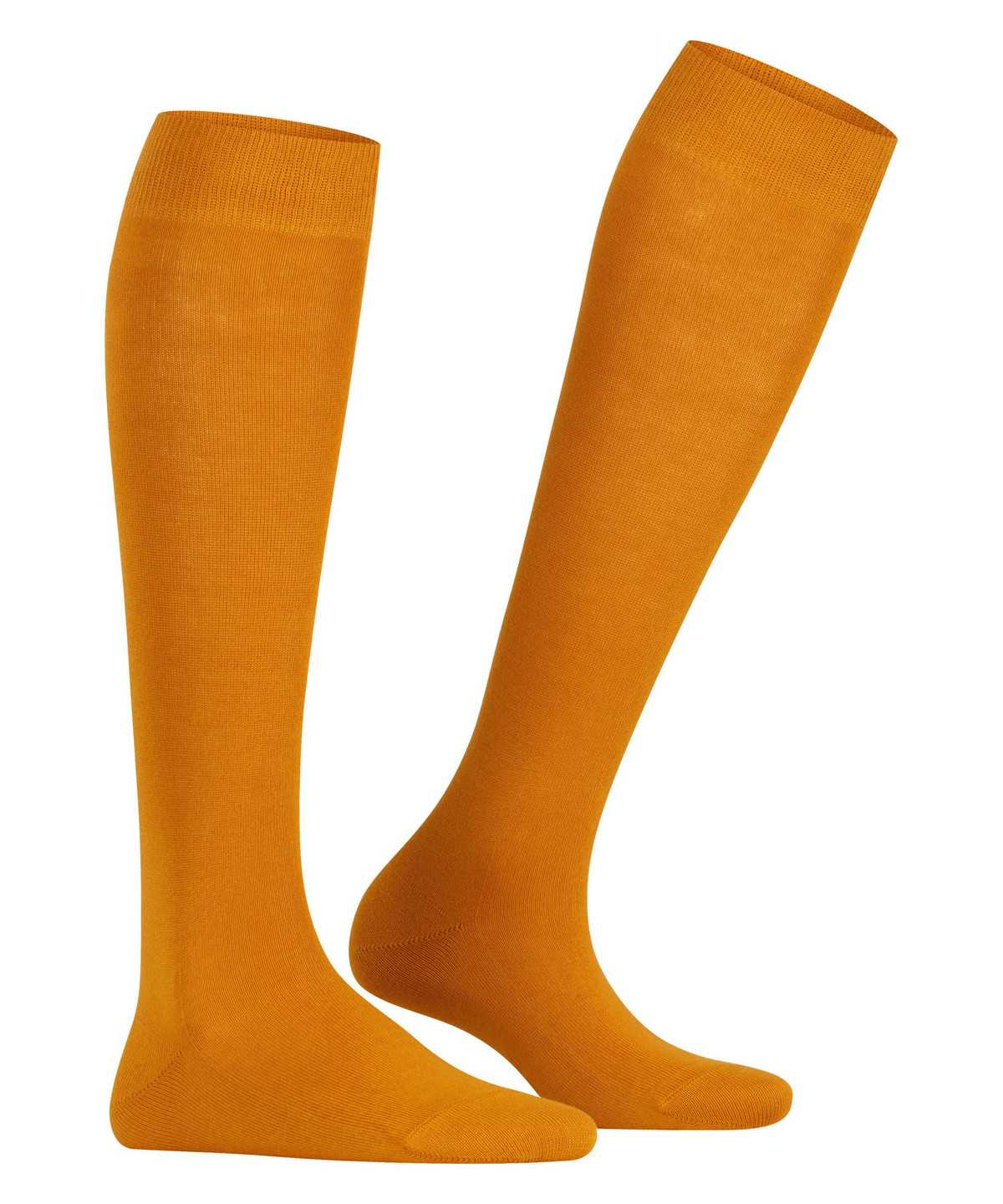 Women Falke Family Knee-high Socks Socks Yellow | IEONSC189